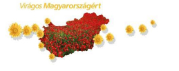 A Városgazdálkodási Kft. tavaszi munkáiról Zalaegerszegen