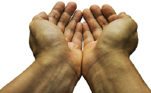 Jótékonysági gála a Csány iskolában 