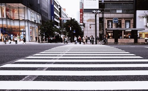 Okos zebra lesz a városban 